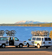 Backraods Trips Two Vans